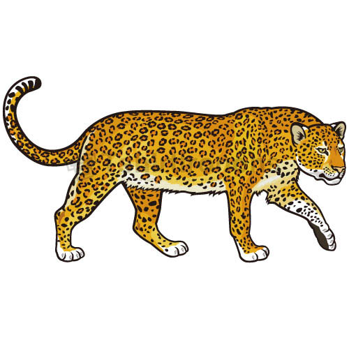 Cheetah T-shirts Iron On Transfers N5375 - Click Image to Close